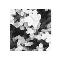 PALL�����^�VĤ��Supor